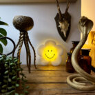 Flower Power Smiley Wall Light